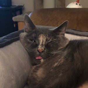 Meet your Posher, Kristi